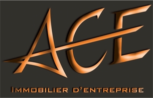 logo agence Ace Immobilier