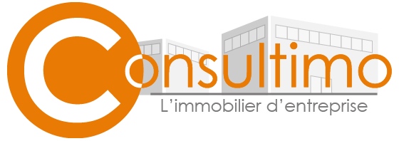 logo agence Consultimo