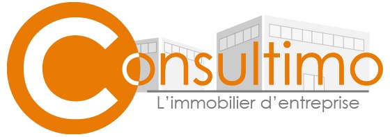 Logo CONSULTIMO