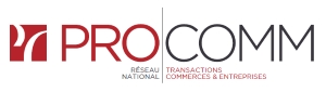 Logo agence CONSULT'IMM - PARIS 15