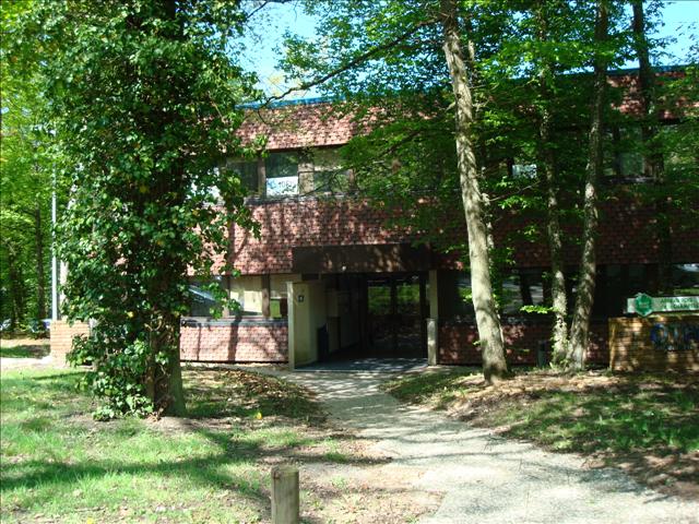 ACTE CBRE NANCY LOCATION-BUREAUX-VANDOEUVRE_LES_NANCY-54