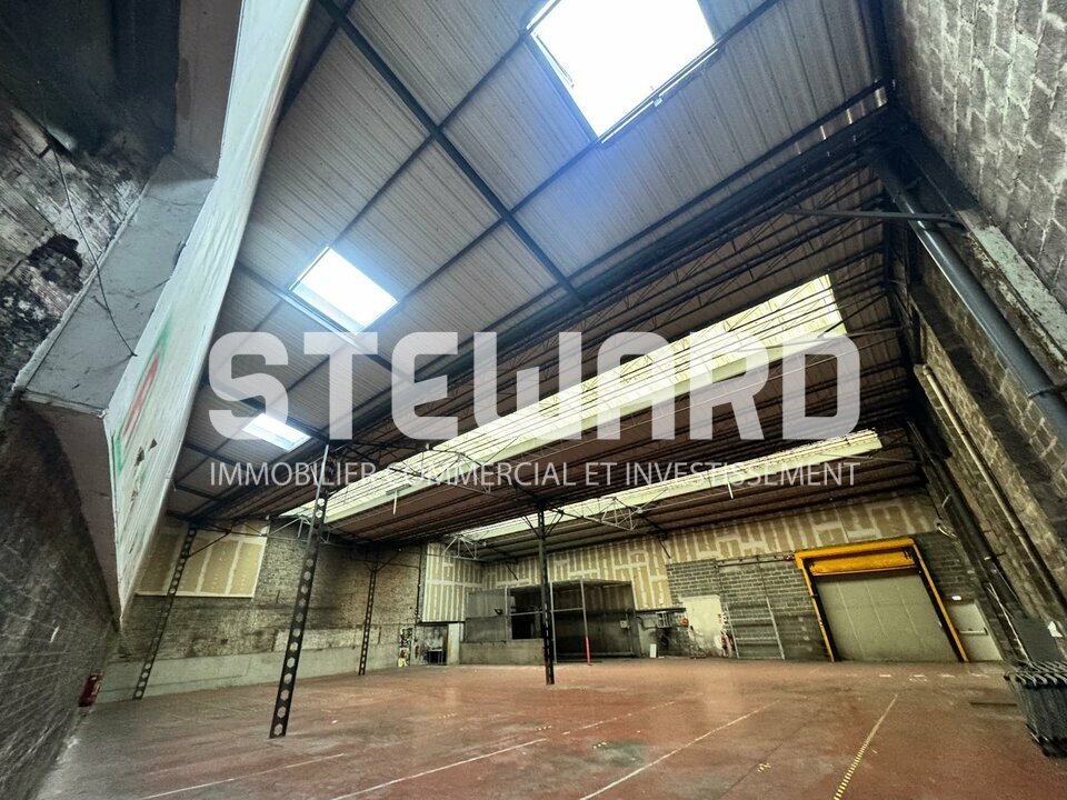 SARL STEWARD IMMOBILIER LOCATION-LOCAL COMMERCIAL-LILLE-59