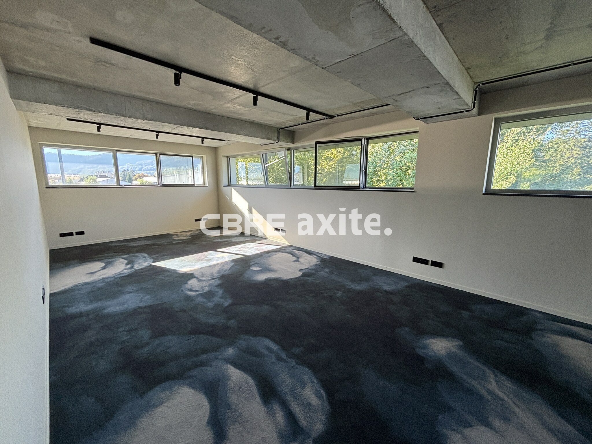CBRE AXITE ANNECY LOCATION-BUREAUX-SAINT-JORIOZ-74