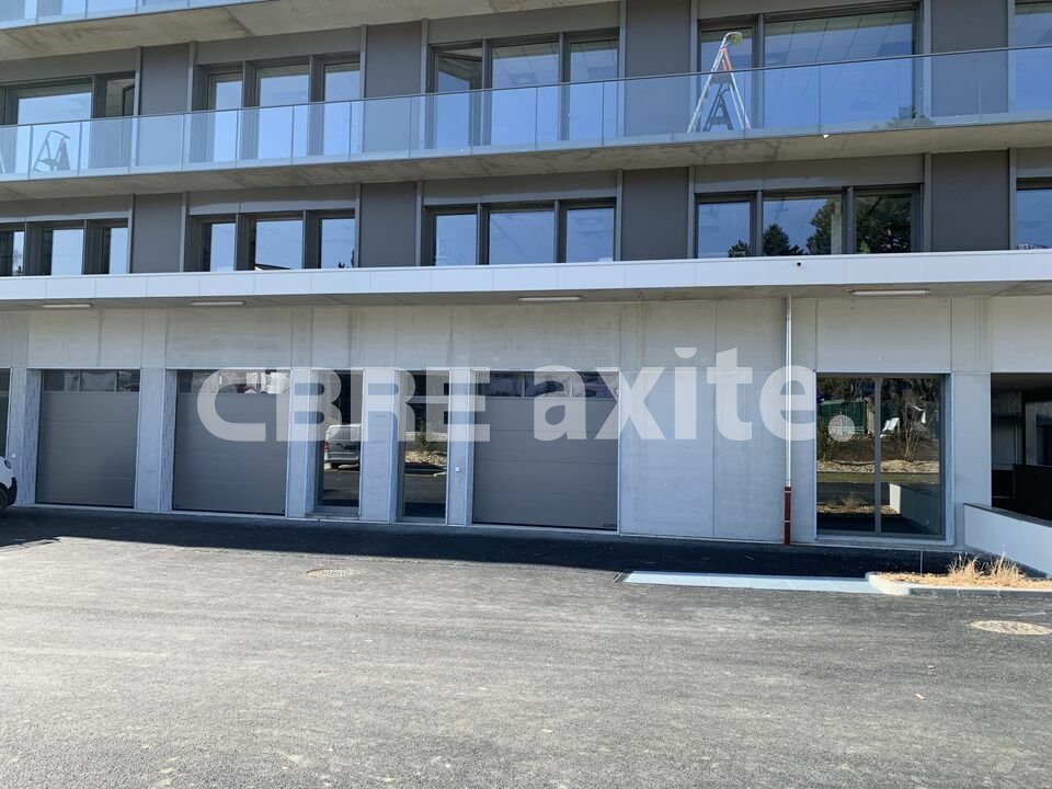 CBRE AXITE ANNECY LOCATION-LOCAL D'ACTIVITE-ANNECY_-_ANNECY-LE-VIEUX-74
