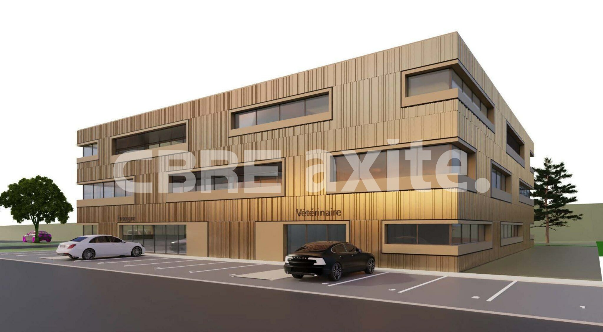 CBRE AXITE ANNECY VENTE-LOCAL D'ACTIVITE-SCIONZIER-74