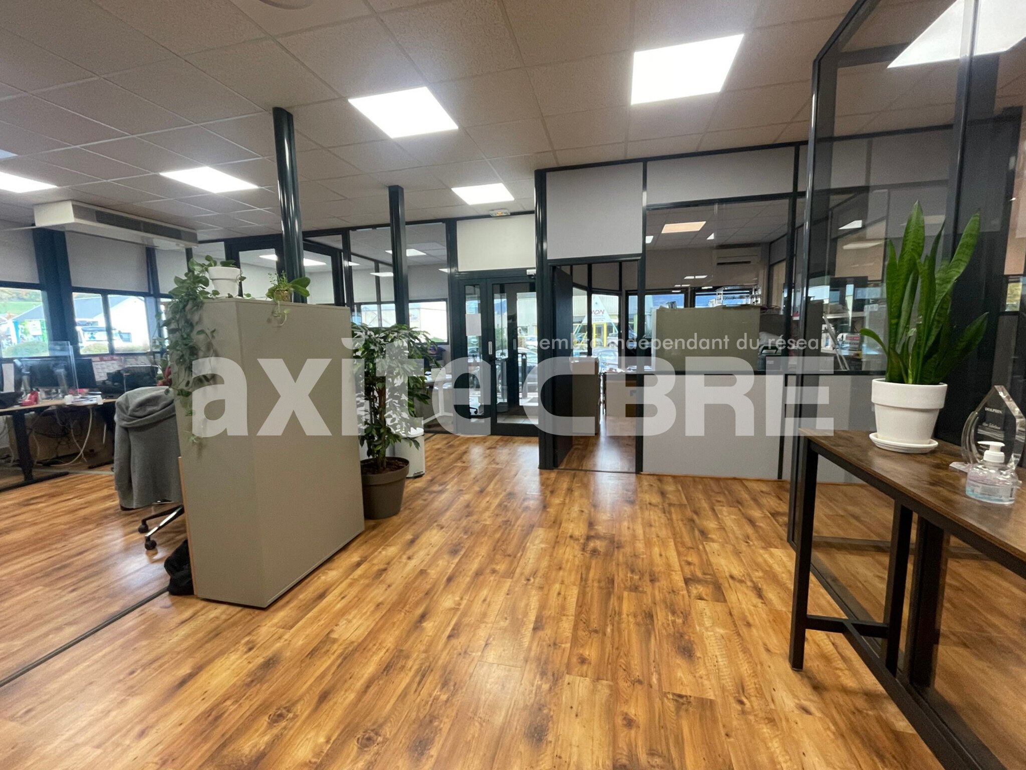 CBRE AXITE ANNECY LOCATION-BUREAUX-PRINGY-74