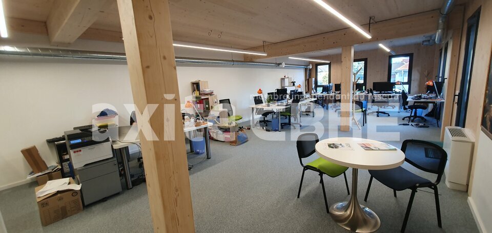 CBRE AXITE ANNECY VENTE-BUREAUX-ALLONZIER_LA_CAILLE-74
