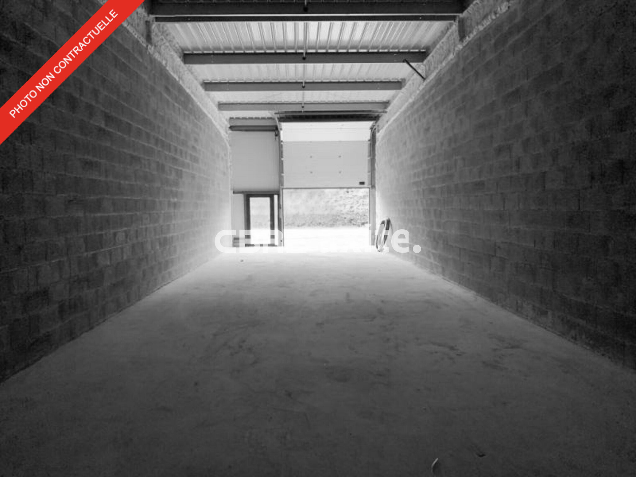 CBRE AXITE ANNECY LOCATION-LOCAL D'ACTIVITE-CONTAMINE_SUR_ARVE-74