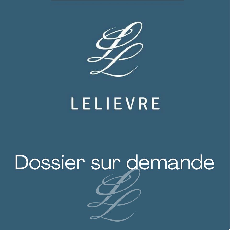 IEL LE MANS LOCATION-LOCAL D'ACTIVITE-LE_MANS-72