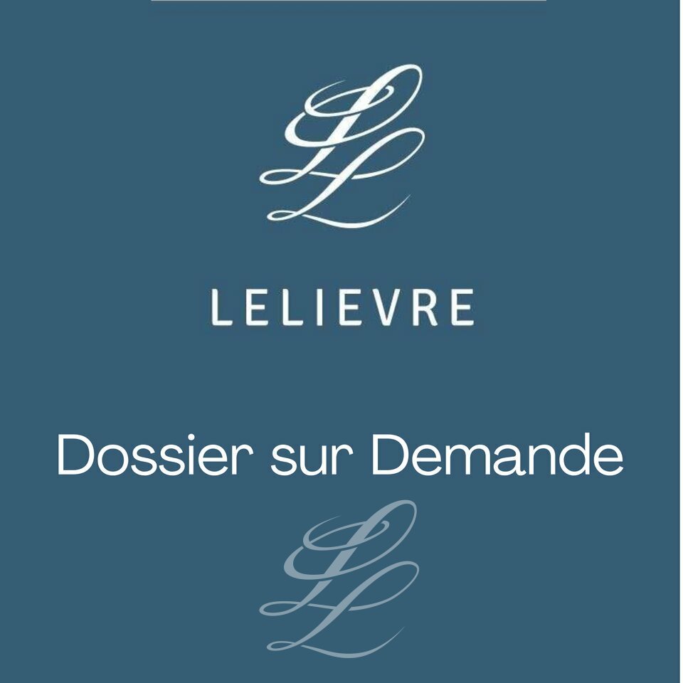 IEL LE MANS LOCATION-LOCAL D'ACTIVITE-LA_CHAPELLE_SAINT_AUBIN-72
