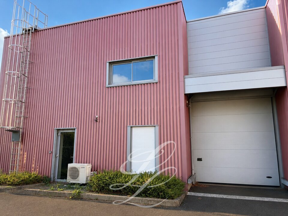 IEL LE MANS LOCATION-LOCAL D'ACTIVITE-ALLONNES-72