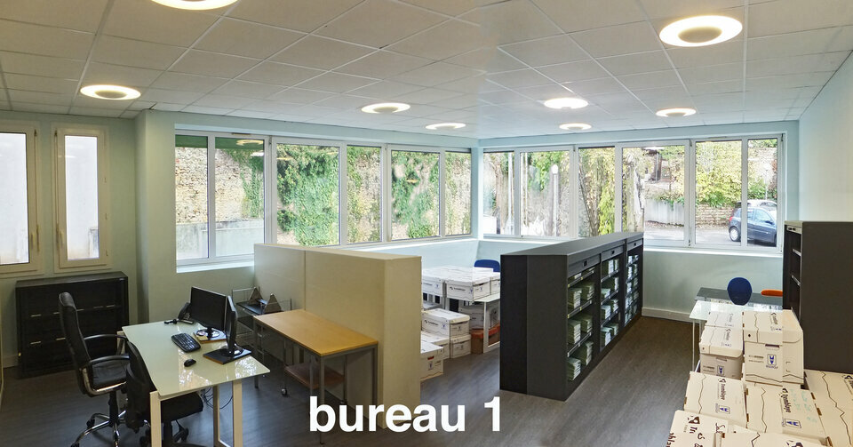 IEL LE MANS LOCATION-BUREAUX-LE_MANS-72