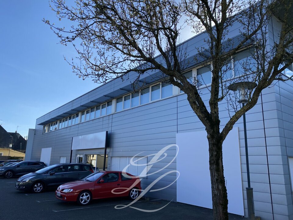 IEL LE MANS LOCATION-BUREAUX-LE_MANS-72