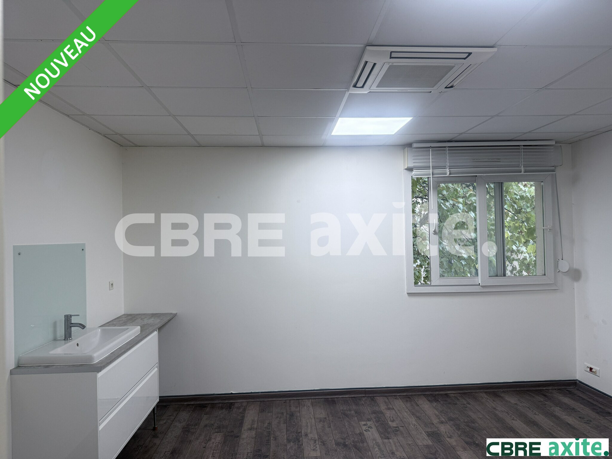 CBRE AXITE BOURGOIN LOCATION-BUREAUX-VIENNE-38