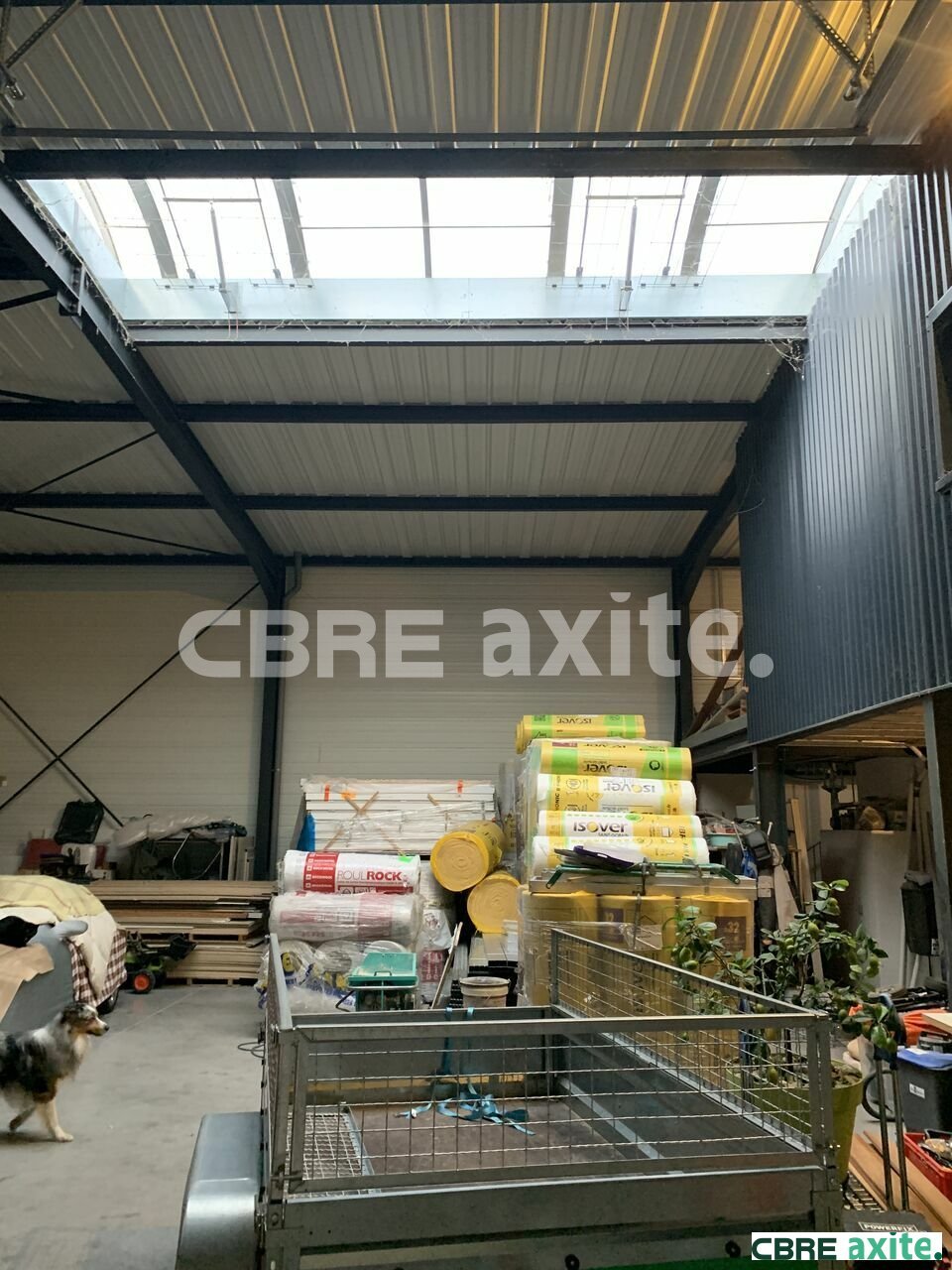 CBRE AXITE BOURGOIN VENTE-LOCAL D'ACTIVITE-CESSIEU-38