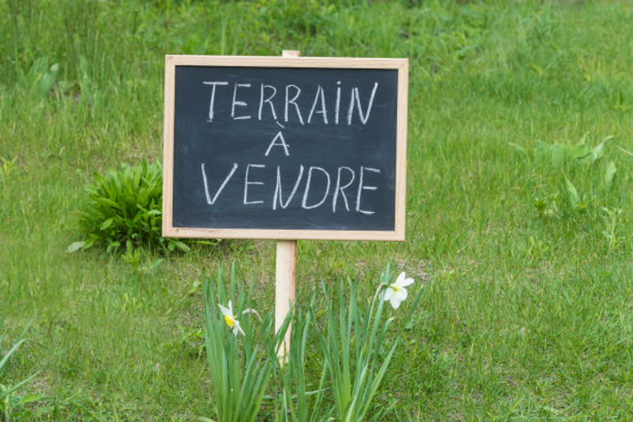 CBRE AXITE BOURGOIN VENTE-TERRAIN-CHOZEAU-38