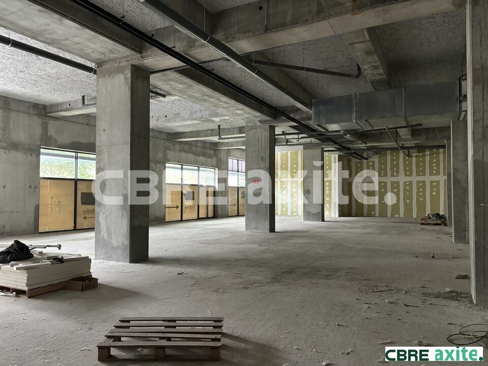 CBRE AXITE BOURGOIN LOCATION-LOCAL COMMERCIAL-BOURGOIN-JALLIEU-38