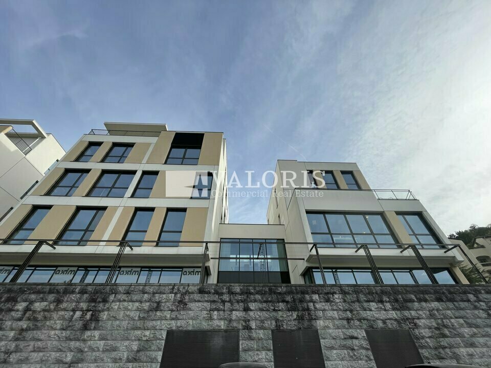VALORIS REAL ESTATE LOCATION-BUREAUX-LYON_4-69