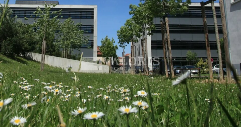 VALORIS REAL ESTATE VENTE-BUREAUX-LYON-69