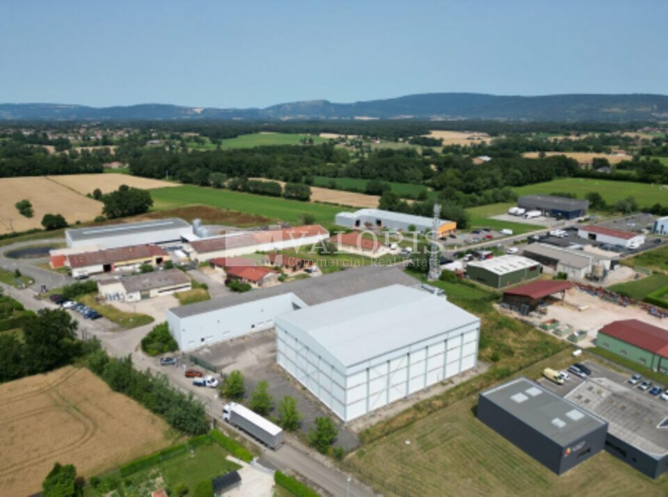 VALORIS REAL ESTATE LOCATION-LOCAL D'ACTIVITE-SAINT_ETIENNE_DU_BOIS-01