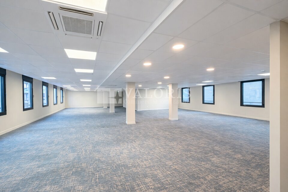 VALORIS REAL ESTATE LOCATION-BUREAUX-LYON-69