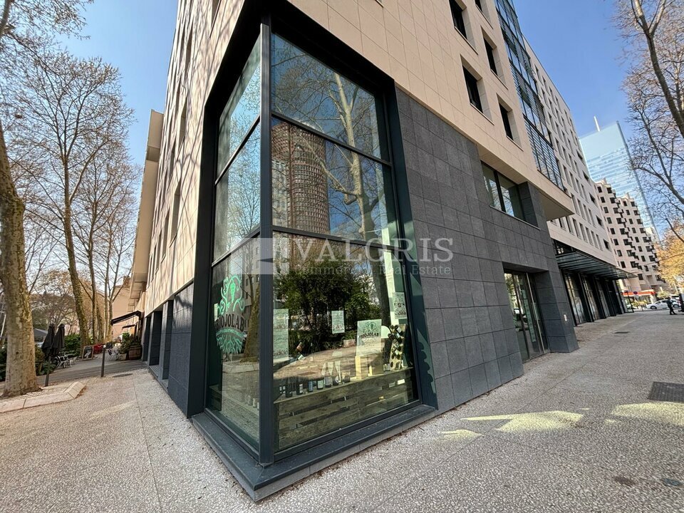 VALORIS REAL ESTATE LOCATION-LOCAL COMMERCIAL-LYON_3-69