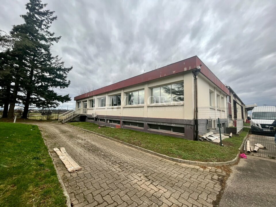 VALORIS REAL ESTATE LOCATION-LOCAL D'ACTIVITE-SAINT_PIERRE_DE_CHANDIEU-69