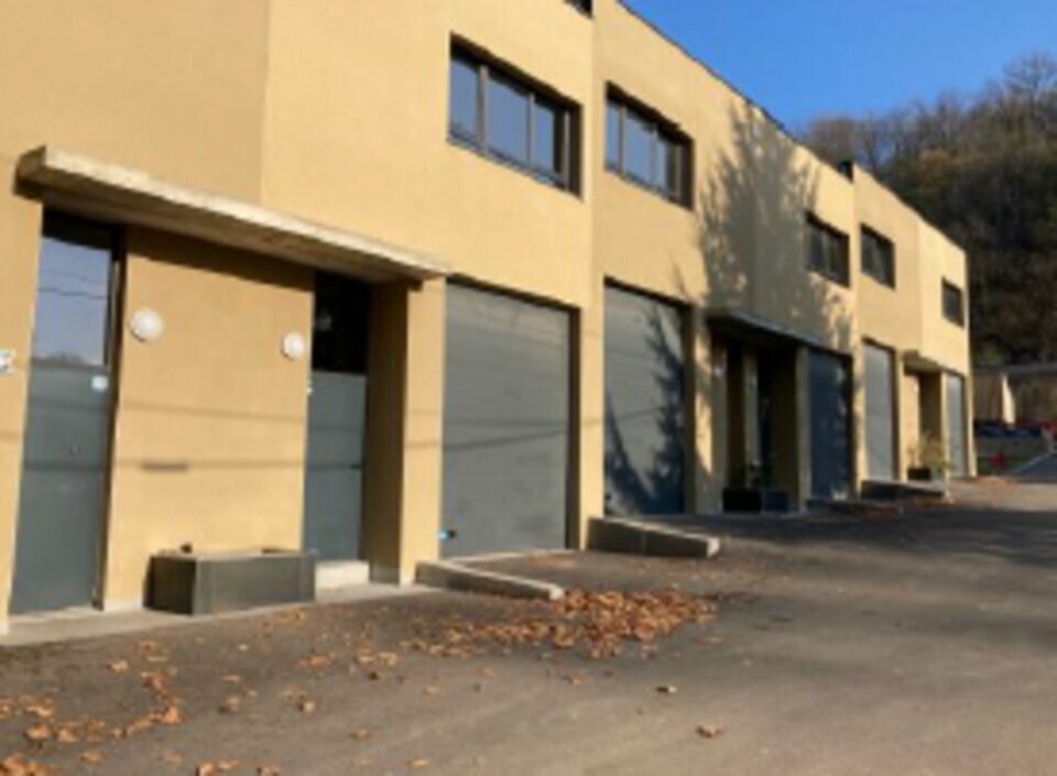 VALORIS REAL ESTATE LOCATION-LOCAL D'ACTIVITE-FLEURIEU_SUR_SAONE-69