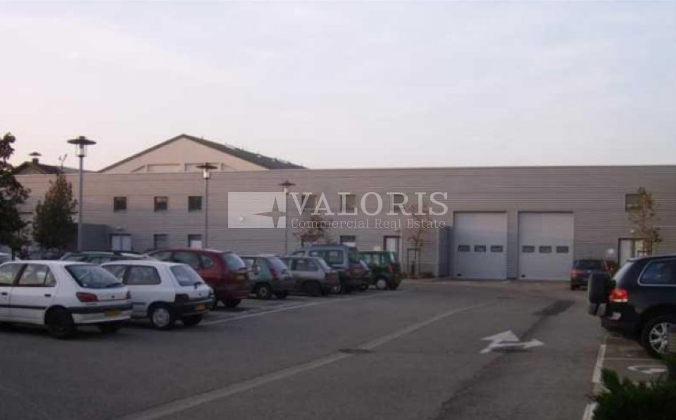 VALORIS REAL ESTATE LOCATION-LOCAL D'ACTIVITE-LYON_7-69