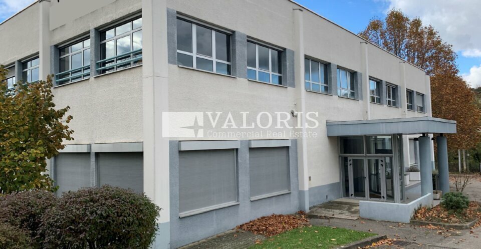 VALORIS REAL ESTATE LOCATION-BUREAUX-TASSIN_LA_DEMI_LUNE-69