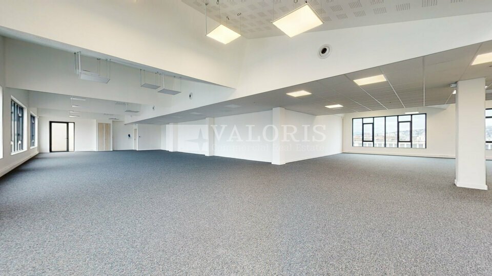 VALORIS REAL ESTATE LOCATION-BUREAUX-LYON_7-69