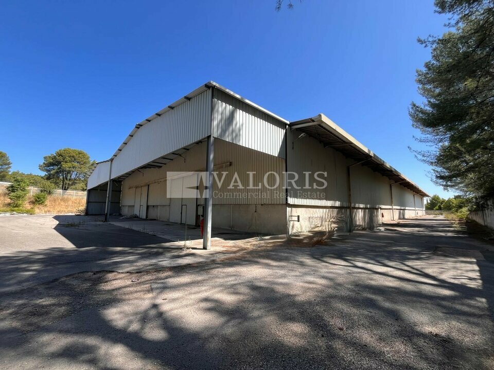 VALORIS REAL ESTATE LOCATION-ENTREPOT-BOUC_BEL_AIR-13
