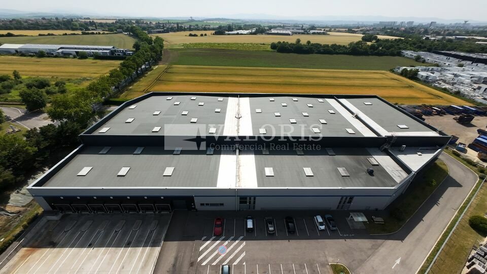 VALORIS REAL ESTATE LOCATION-ENTREPOT-CORBAS-69