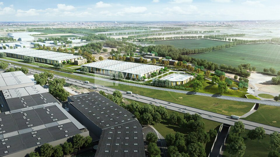 VALORIS REAL ESTATE VENTE-LOCAL D'ACTIVITE-DAGNEUX-01