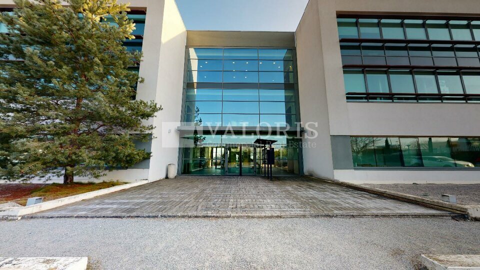 VALORIS REAL ESTATE LOCATION-BUREAUX-CHAMPAGNE_AU_MONT_D'OR-69