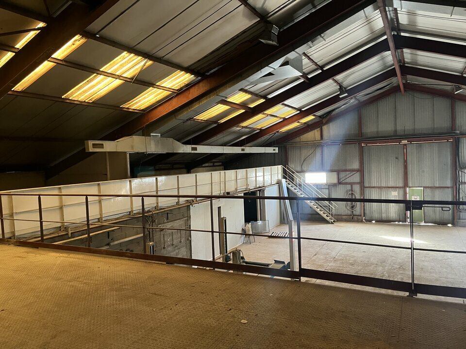 GDI LOCATION-LOCAL D'ACTIVITE-SAINT_HILAIRE_DE_BRETHMAS-30