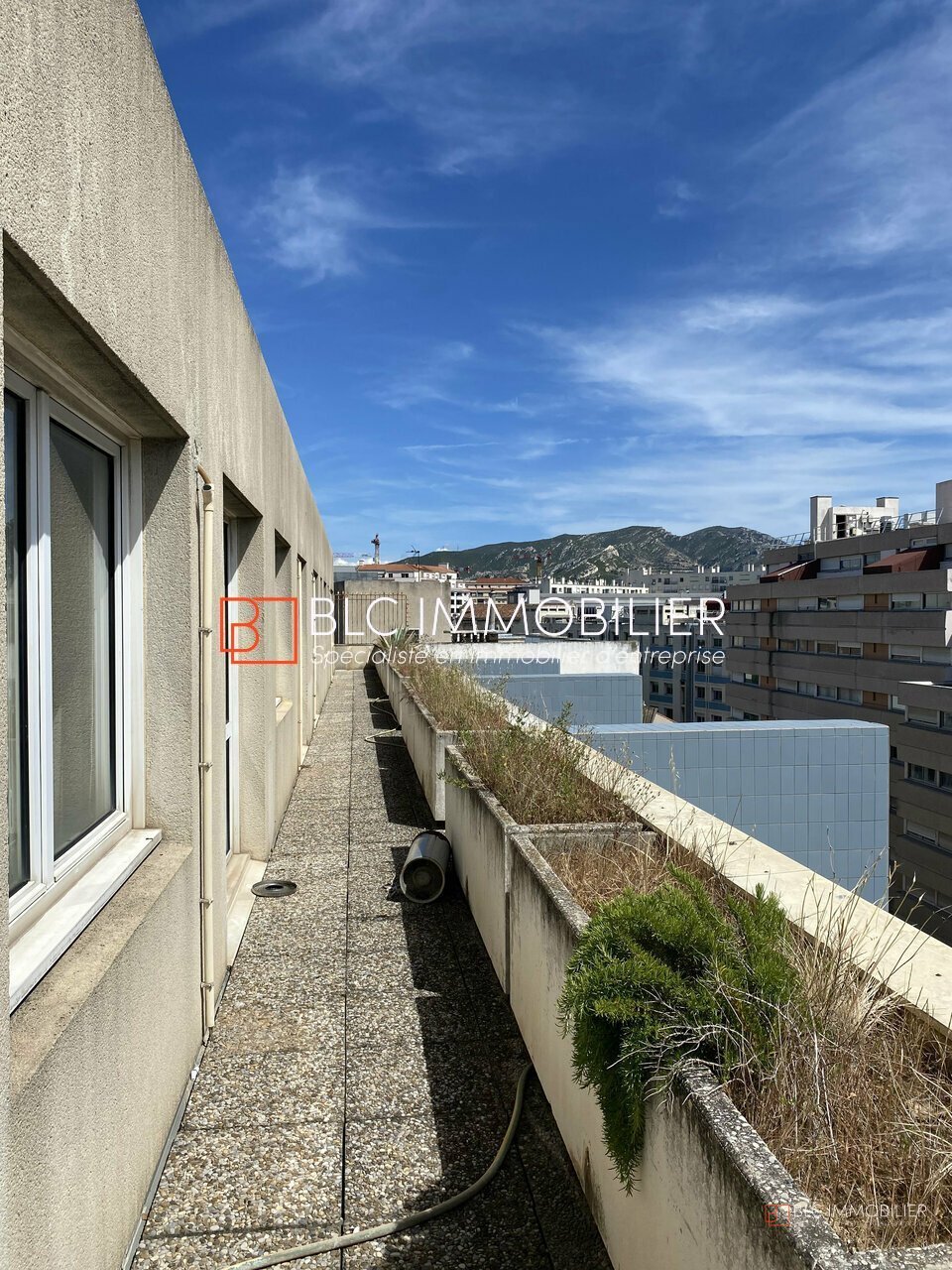 BLC IMMOBILIER LOCATION-BUREAUX-MARSEILLE-13