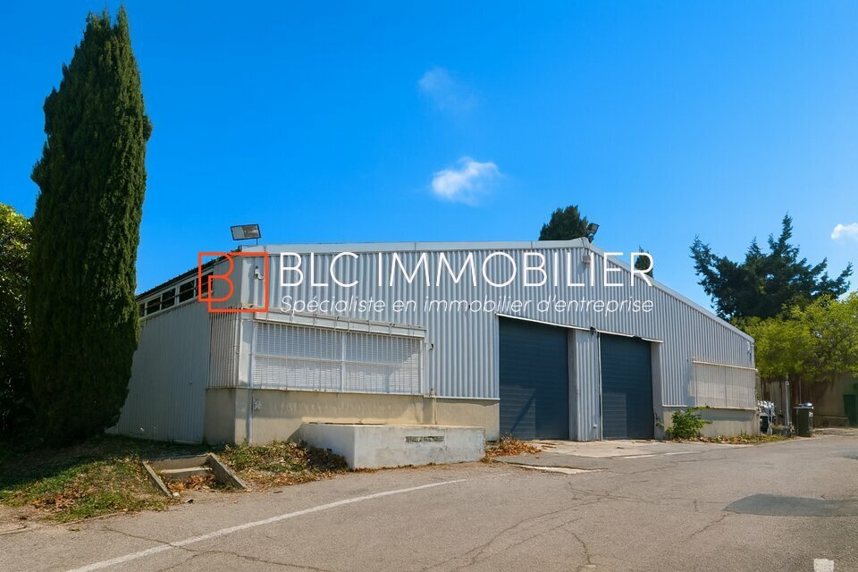 BLC IMMOBILIER LOCATION-LOCAL D'ACTIVITE-MARSEILLE-13