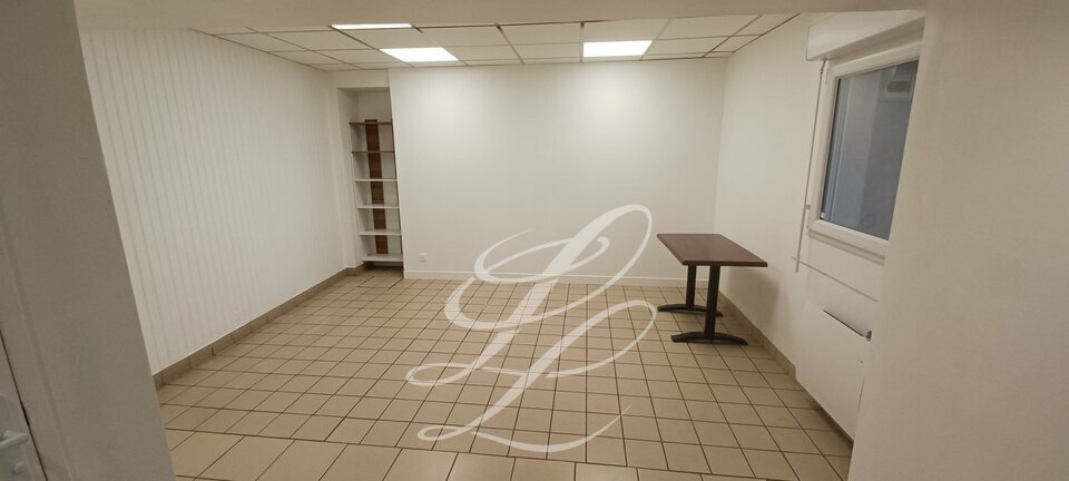 IEL ANGERS LOCATION-BUREAUX-ANGERS-49