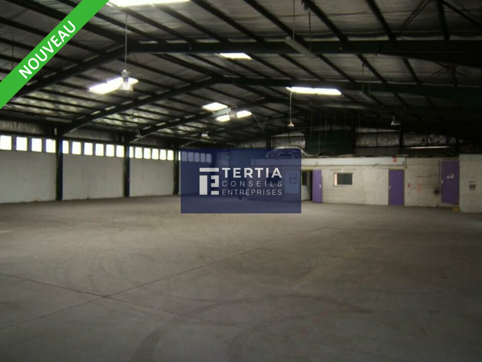 TERTIA CONSEILS LOCATION-LOCAL D'ACTIVITE-MONTPELLIER-34