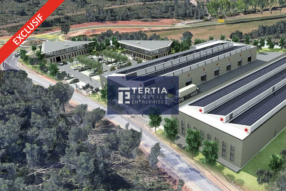 TERTIA CONSEILS LOCATION-LOCAL D'ACTIVITE-MONTPELLIER-34