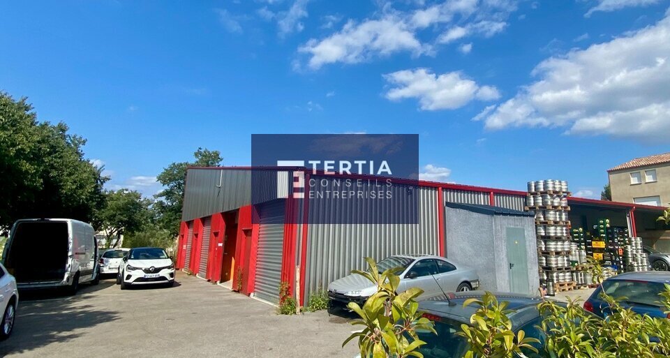 TERTIA CONSEILS LOCATION-LOCAL D'ACTIVITE-SAINT_GEORGES_D'ORQUES-34