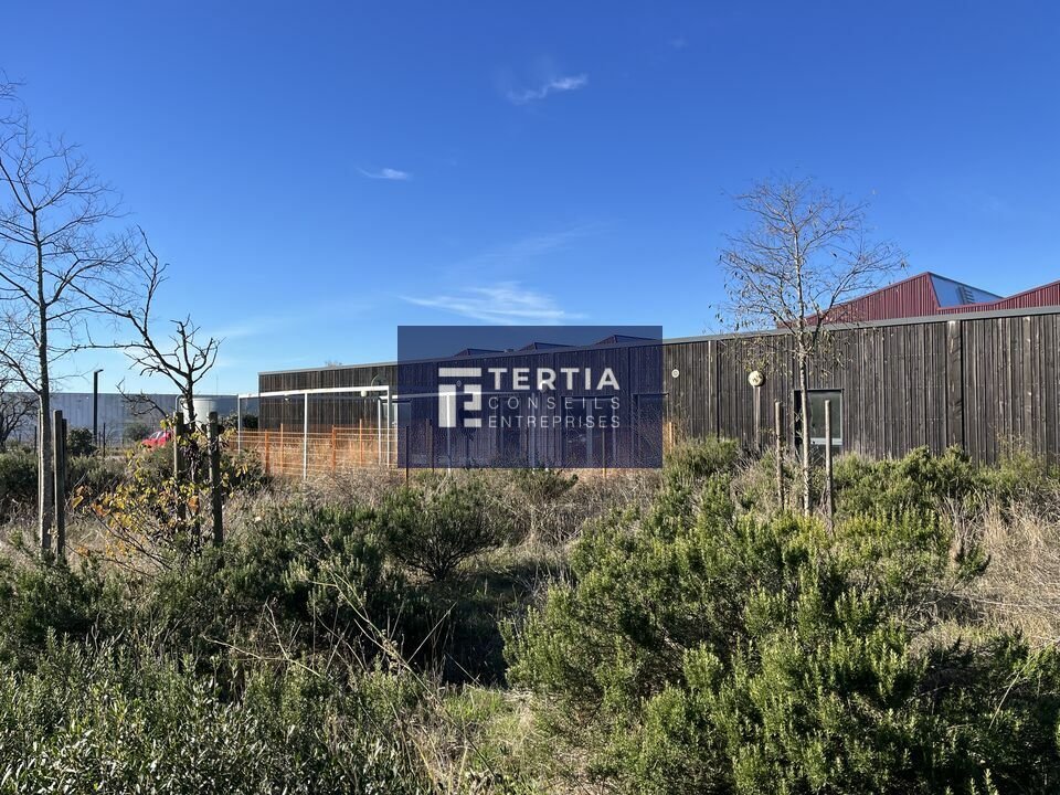 TERTIA CONSEILS VENTE-BUREAUX-VENDARGUES-34