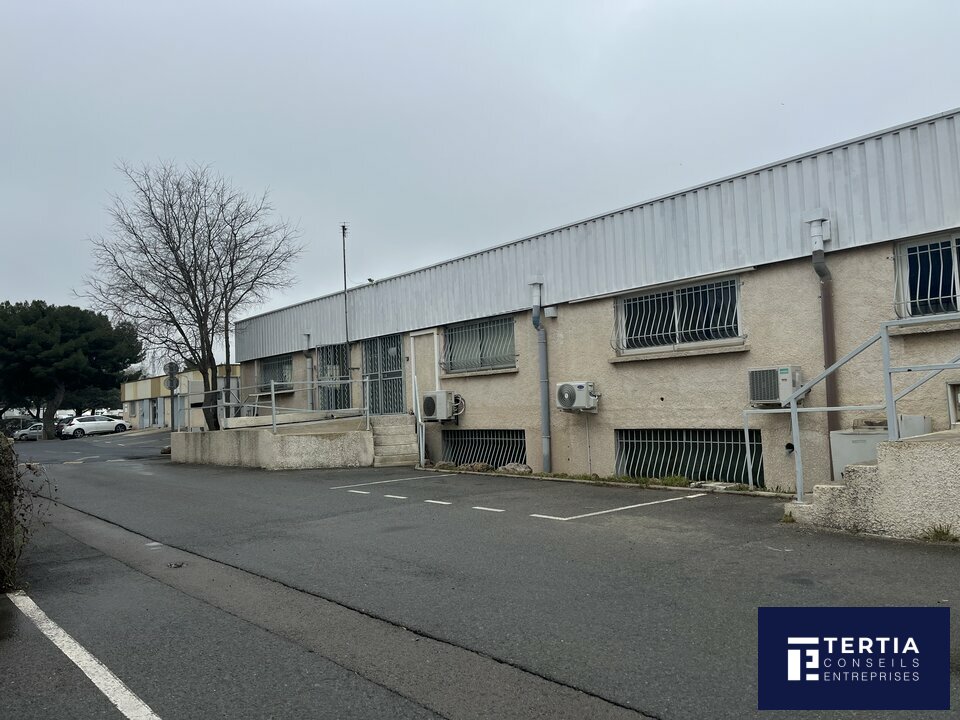 TERTIA CONSEILS LOCATION-LOCAL D'ACTIVITE-SAINT_JEAN_DE_VEDAS-34