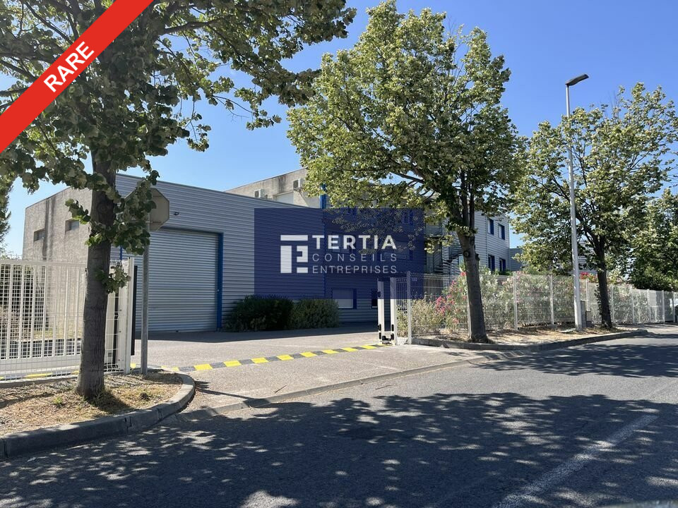 TERTIA CONSEILS LOCATION-LOCAL D'ACTIVITE-MONTPELLIER-34