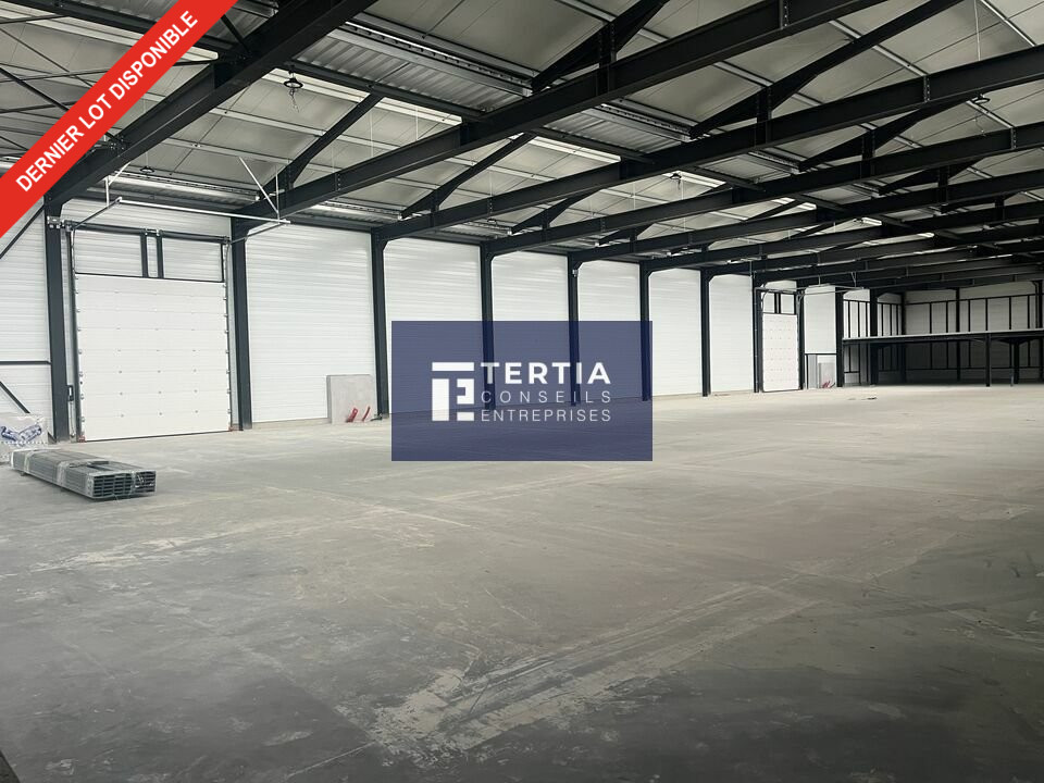 TERTIA CONSEILS LOCATION-LOCAL D'ACTIVITE-VAILHAUQUES-34