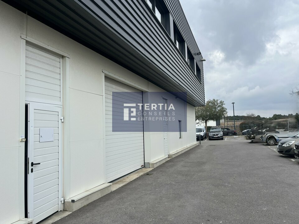TERTIA CONSEILS LOCATION-LOCAL D'ACTIVITE-VENDARGUES-34