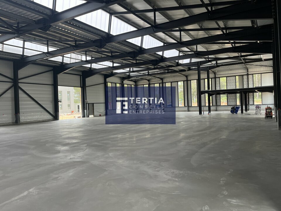 TERTIA CONSEILS LOCATION-LOCAL D'ACTIVITE-MONTPELLIER-34