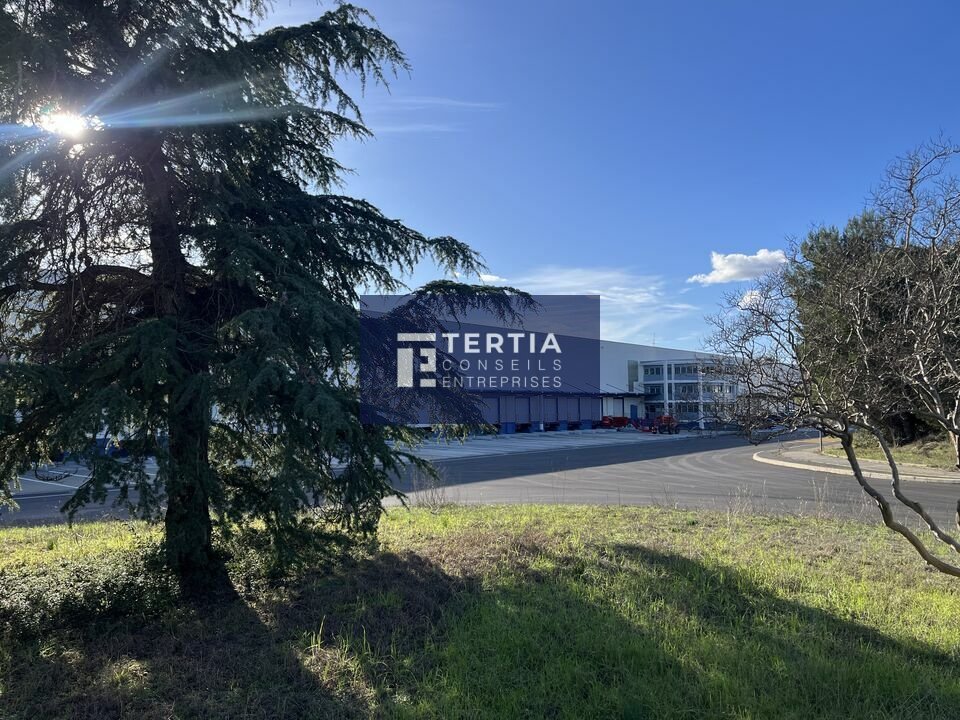 TERTIA CONSEILS LOCATION-ENTREPOT-MONTPELLIER-34