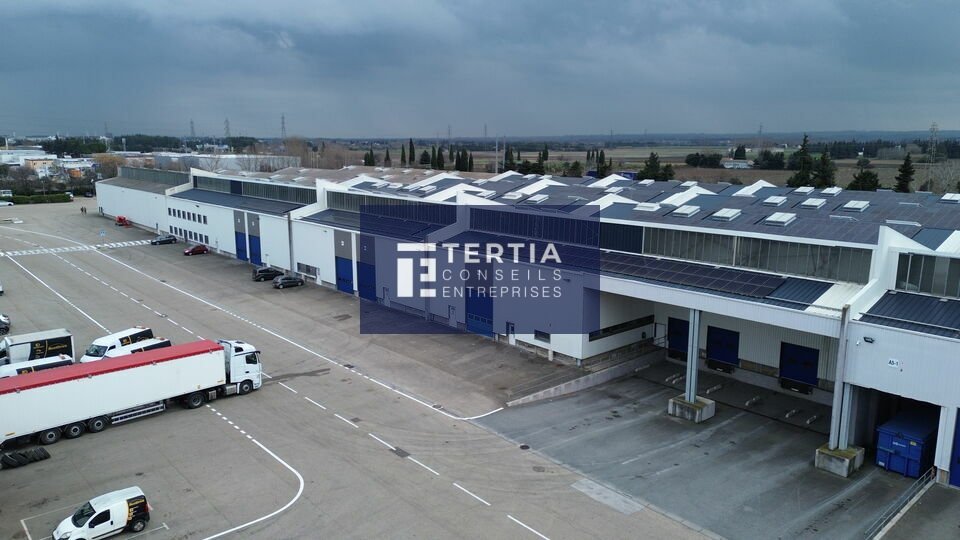 TERTIA CONSEILS LOCATION-LOCAL D'ACTIVITE-NIMES-30